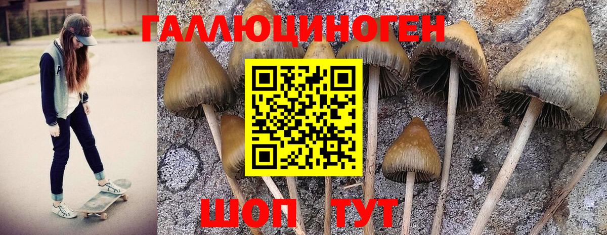 Псилоцибиновые грибы Magic Shrooms Тимашёвск